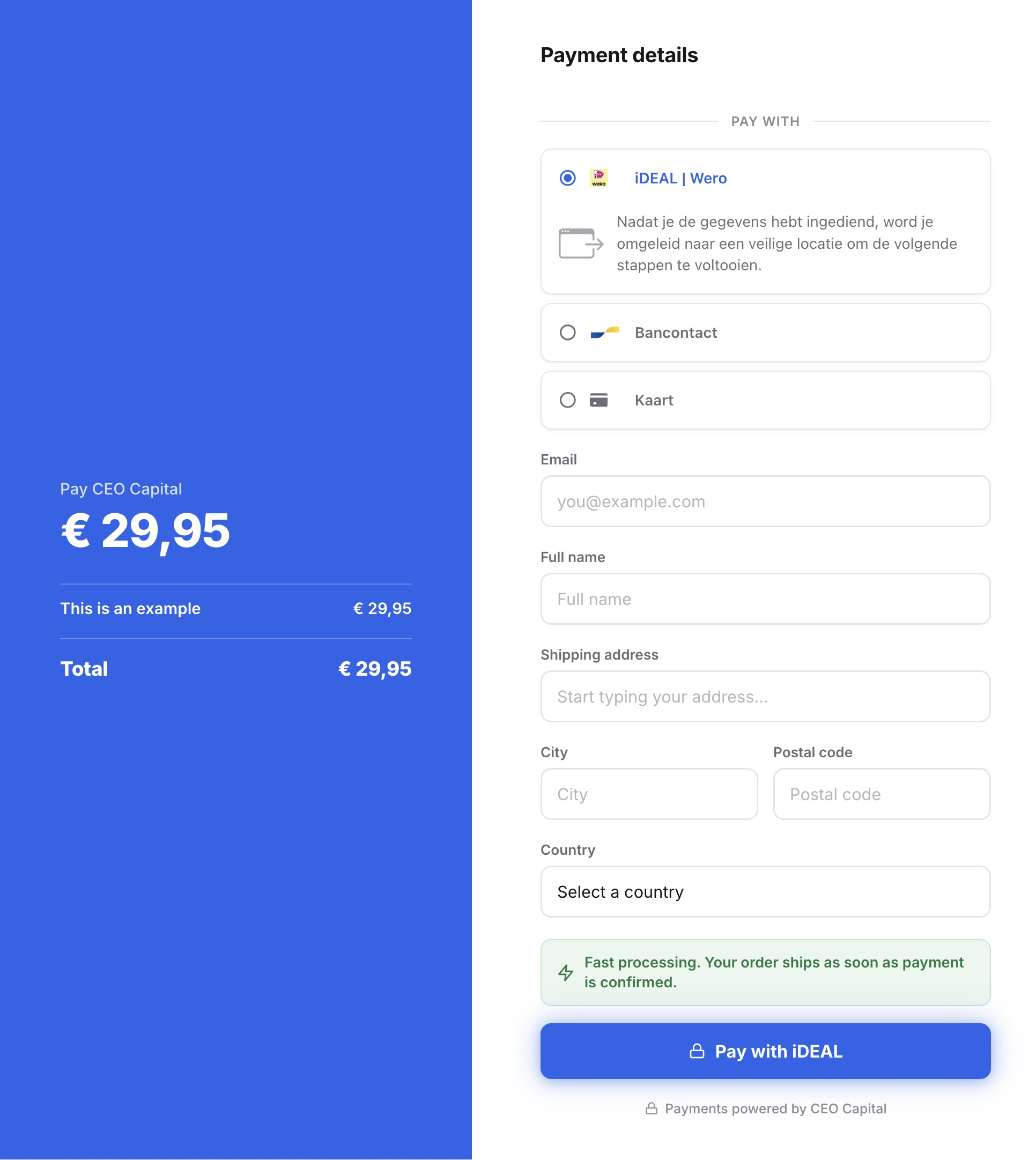 A branded CEO Capital checkout, customized with a merchant's own logo and colors